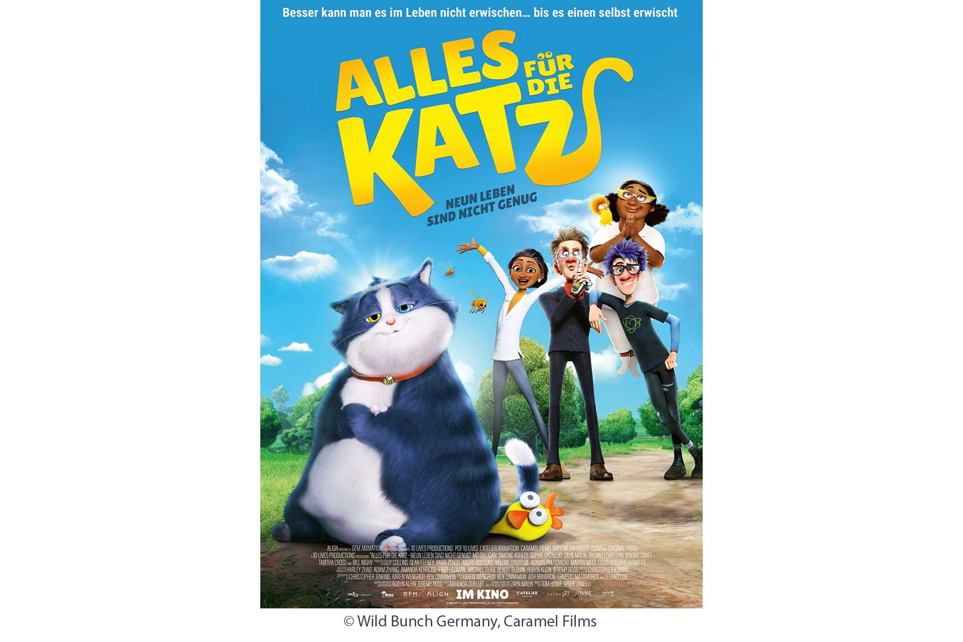 Alles für die Katz Filmtipp