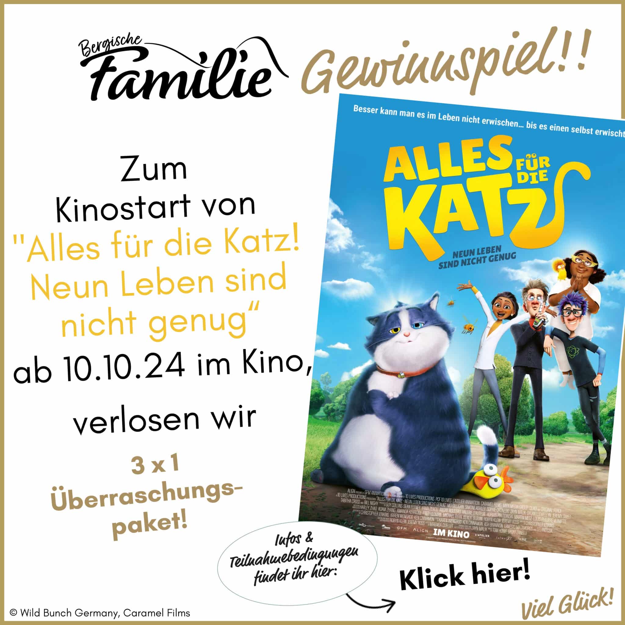 Gewinnspiel Alles für die Katz