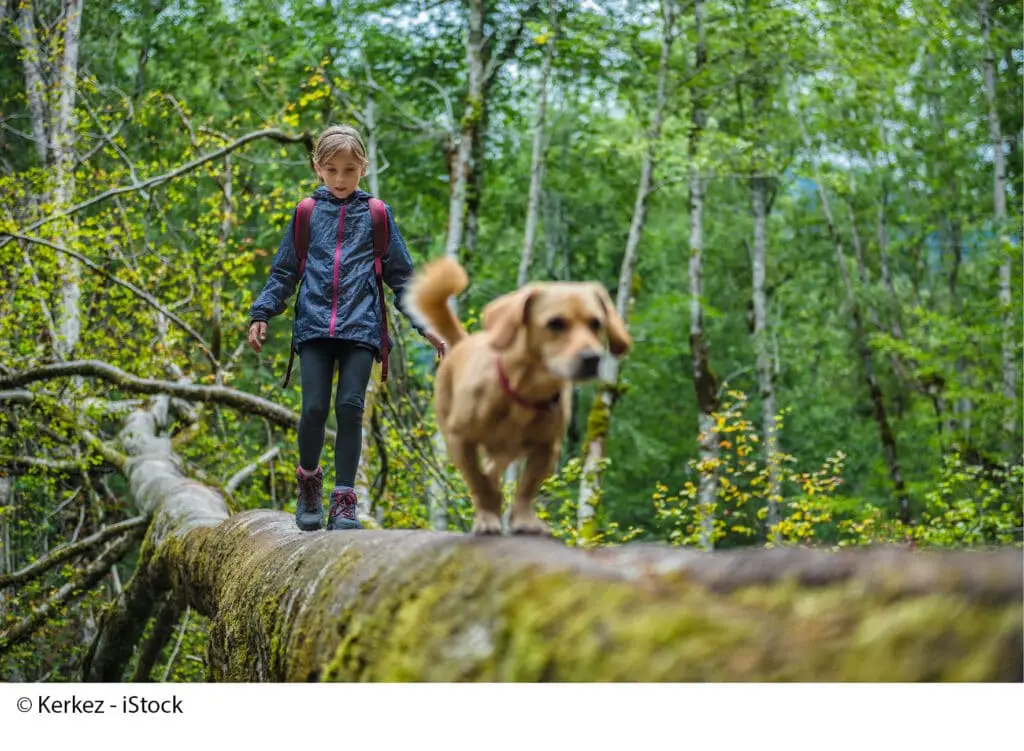 Wald Kind Outdoor Kerkez iStock 851937430