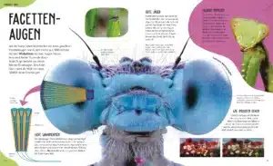 Anatomie der Tiere