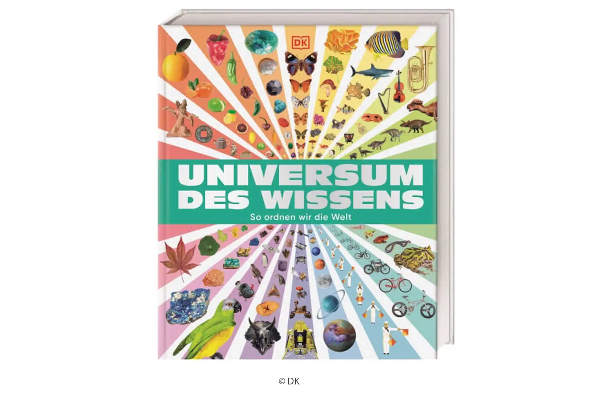 Universum des Wissens