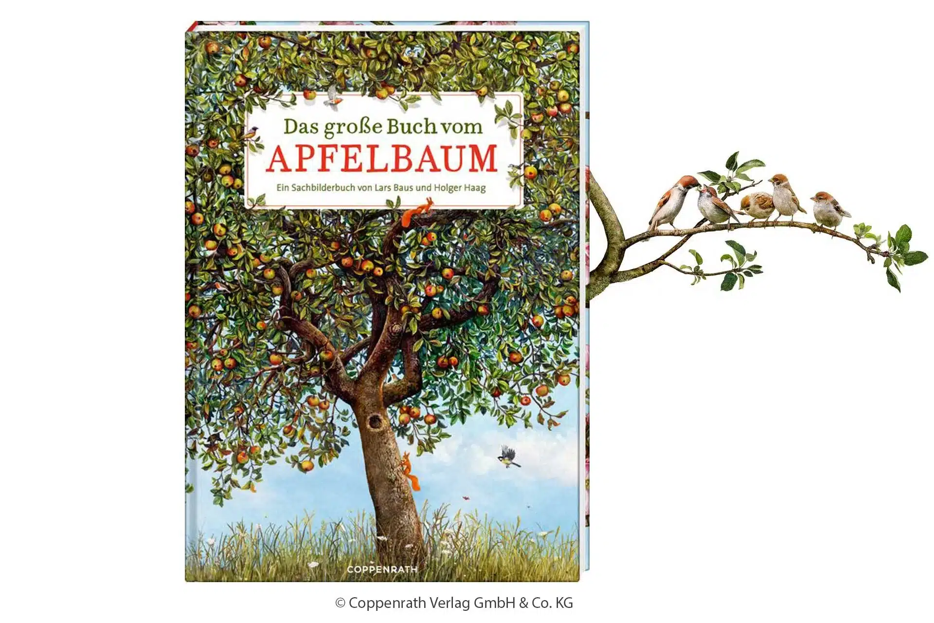 Das große Buch vom Apfelbaum Coppenrath Verlag Spiegelburg