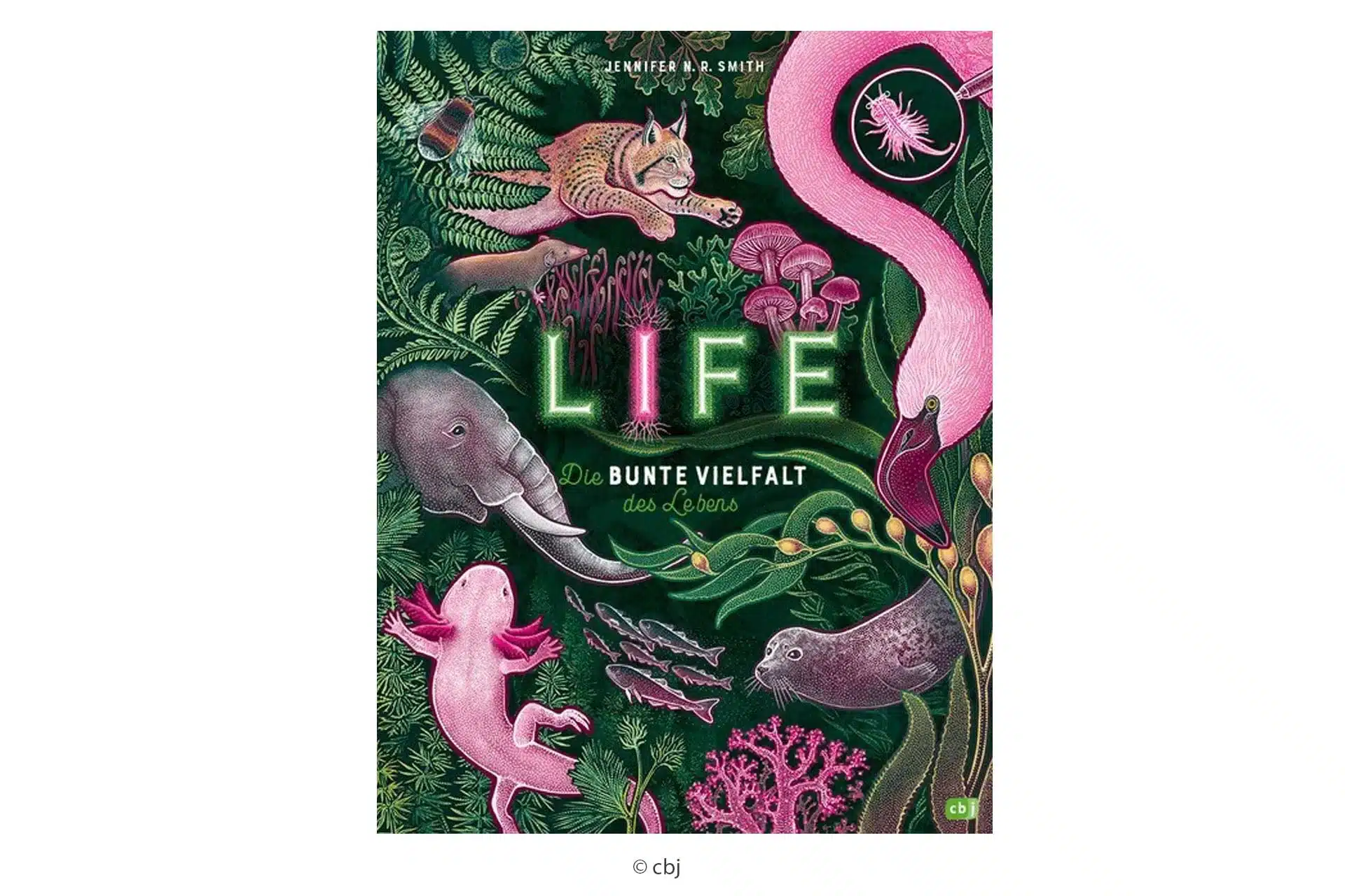LIFE – Die bunte Vielfalt des Lebens Jennifer N.R. Smith cbj Kinderbuch