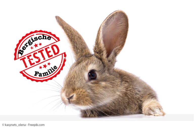 Die Besten Tipps für Ostern Osternest Geschenkideen