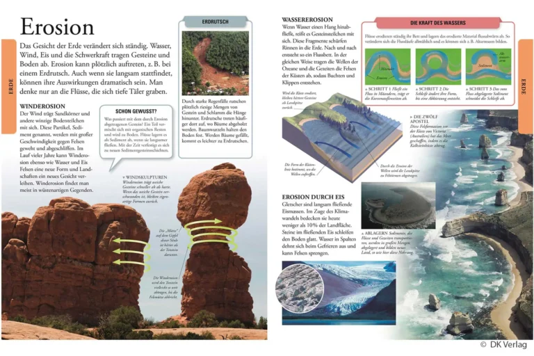 Wissen für clevere Kids Lexikon Lernbuch