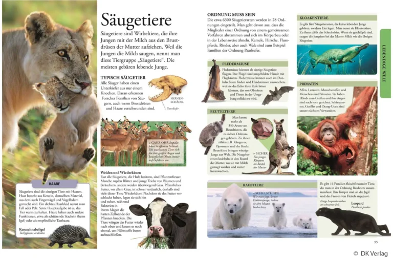 Wissen für clevere Kids Lexikon Lernbuch