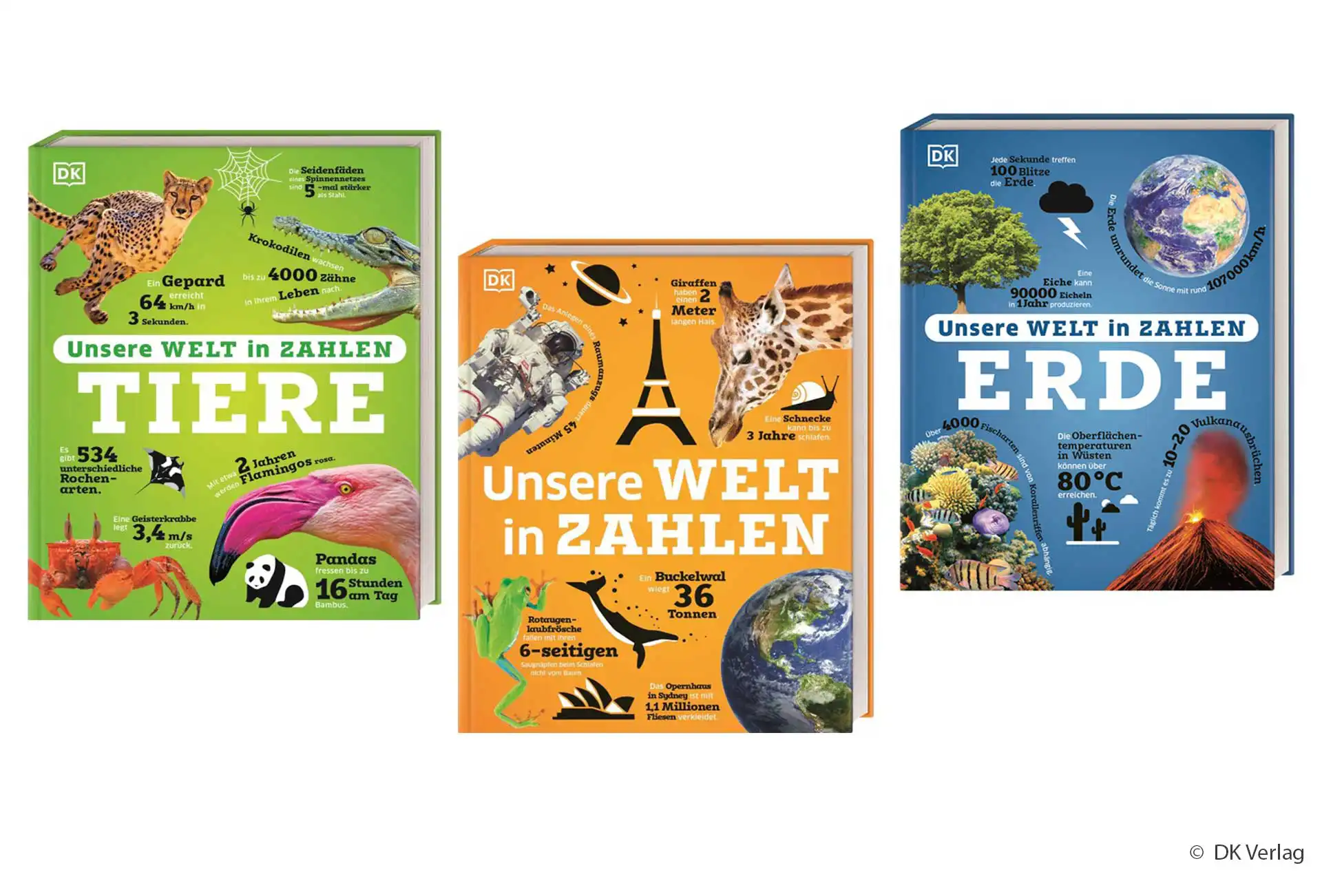 Unsere Welt in Zahlen Reihe Lexikon Lernbuch